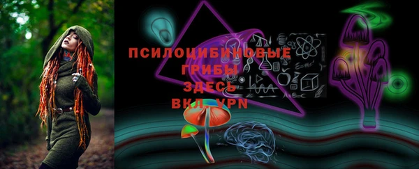 спайс Белокуриха