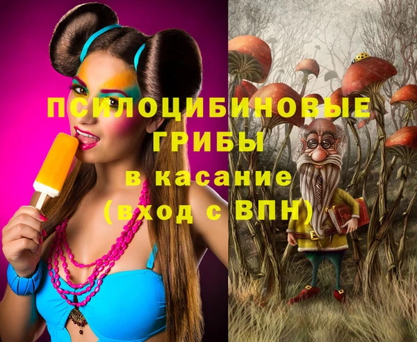 спайс Белокуриха